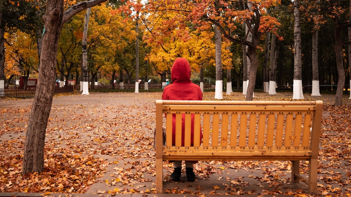 a person sitting on a bench in a park